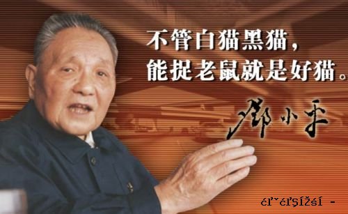 不管黑猫白猫,能捉老鼠就是好猫